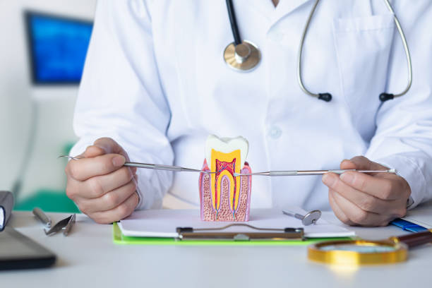 Best Broken or Cracked Tooth Emergency Dentist in Rocky River, OH